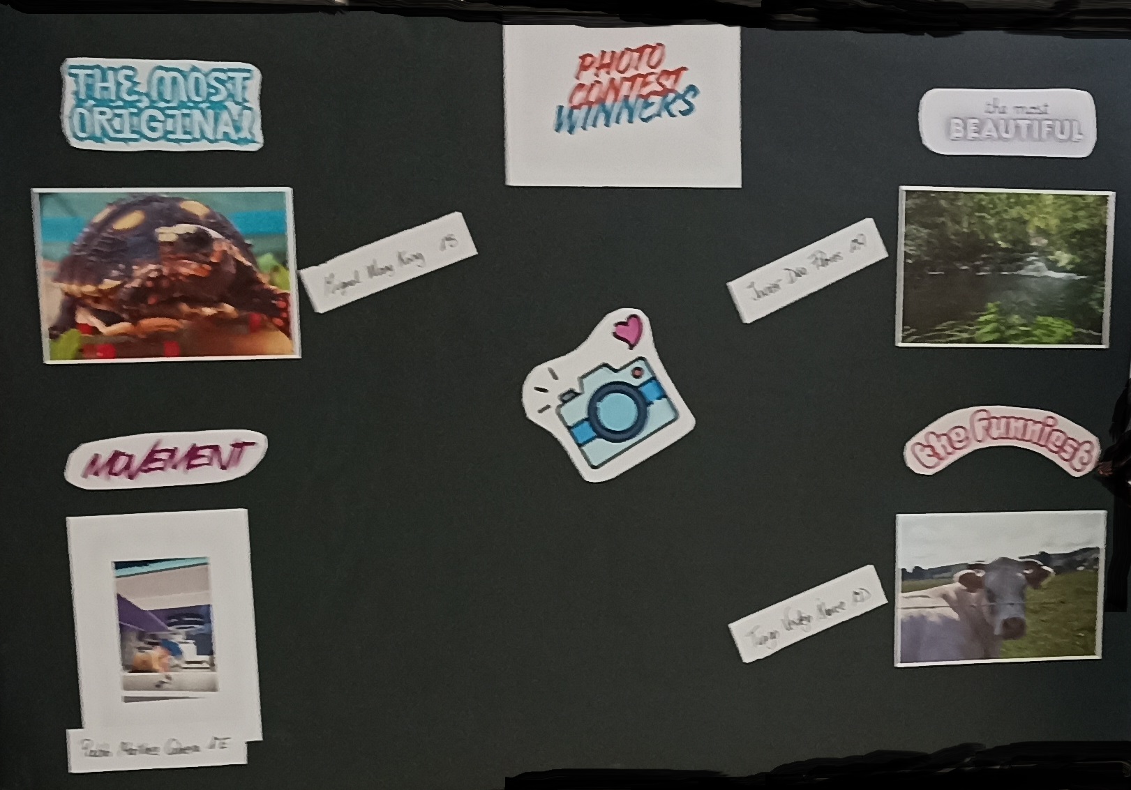 Photo Contest 1º ESO.