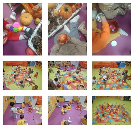 Fiesta del otoño N0-N1