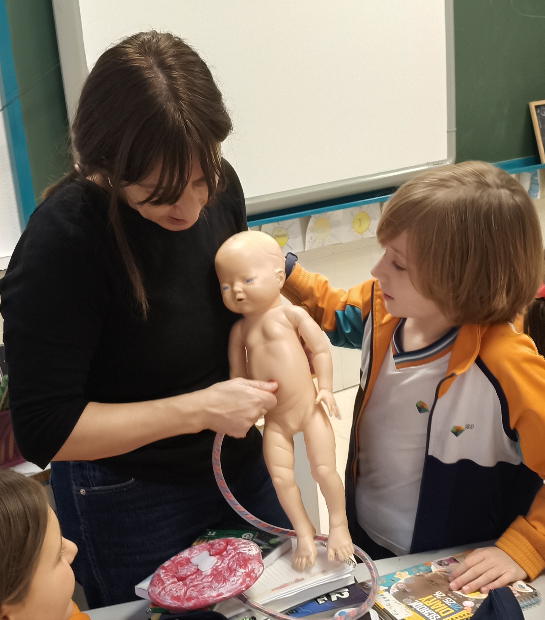 Participación Familias 4ºD