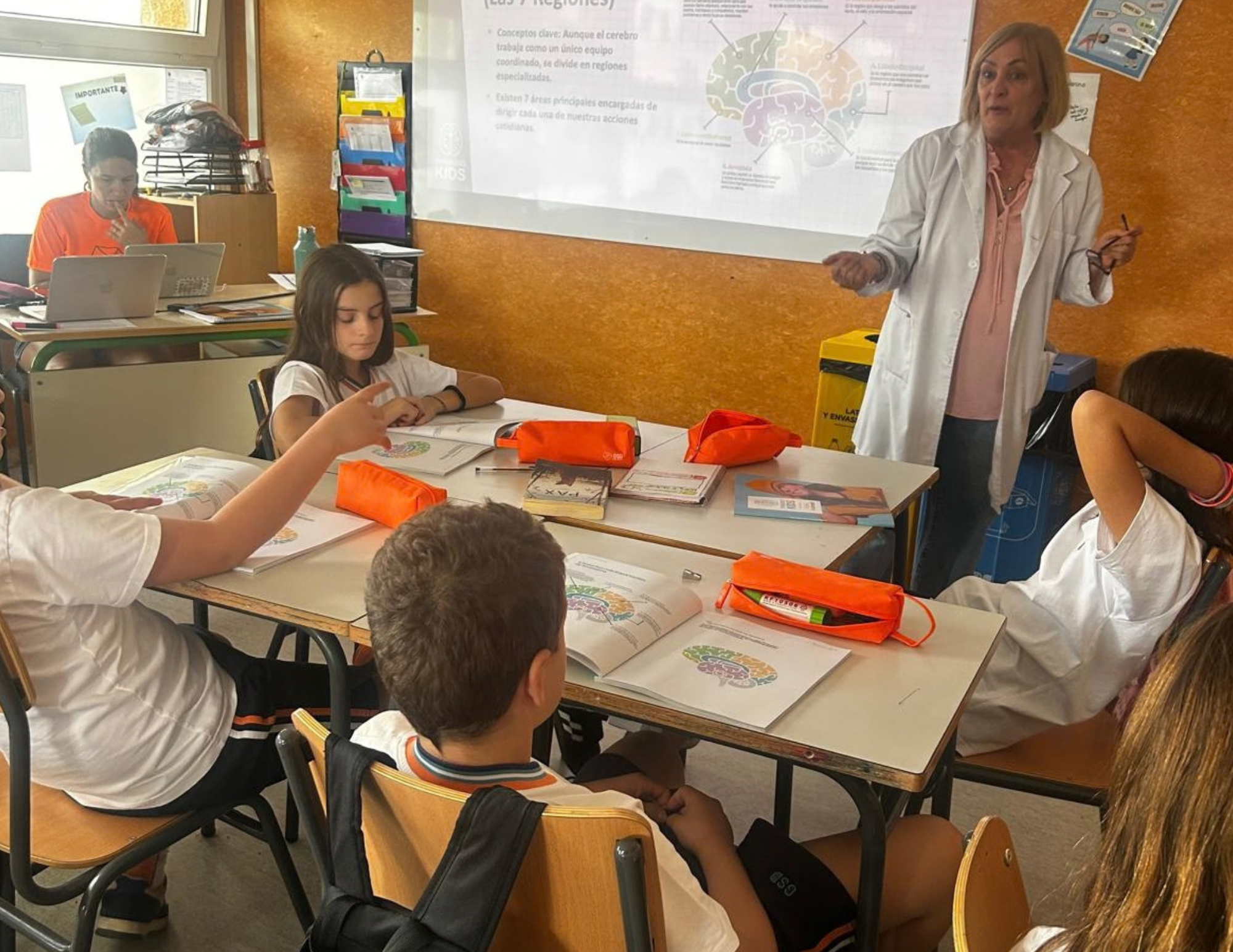 ¡Conociendo tu cerebro! – Getting to Know Your Brain
