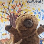 Hello, Autumn!