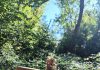 ¡Nuestra primera excursión de primero ha sido mágica!