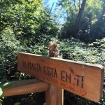 ¡Nuestra primera excursión de primero ha sido mágica!